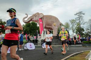 BIB: 
                            <button type="button" onclick="openModal(26528348)" class="btn btn-primary btn-sm float-right btn-popup" data-toggle="modal" data-target=".modal-high-quality">
                        <i class="fas fa-shopping-cart"></i> Add to Cart
                    </button>
                                            <button type="button" onclick="isThisMe(26528348, true)" class="btn btn-success btn-sm float-right btn-popup btn-isme hidden" data-toggle="tooltip" data-placement="bottom" title="นี่คือรูปของคุณใช่ไหม คลิกที่นี่เพื่อเอาเข้าอัลบั้ม">
                        <i class="fas fa-plus"></i> Add to album
                    </button>
                    <button type="button" onclick="isThisMe(26528348, false)" class="btn btn-warning btn-sm float-right btn-popup btn-isnotme hidden">
                        <i class="fas fa-ban"></i> Remove from album
                    </button>